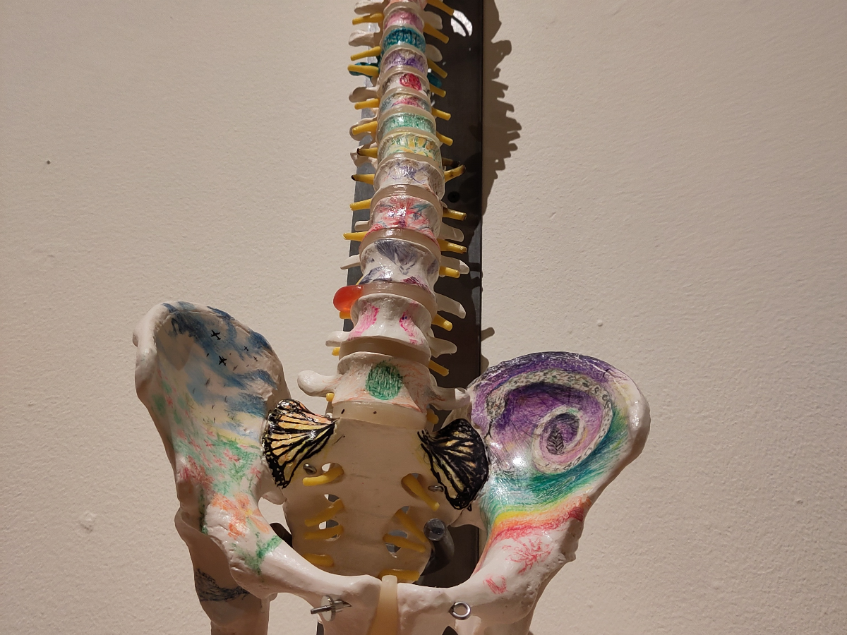 Columna y pelvis pintadas a mano — la ciudad como organismo vivo